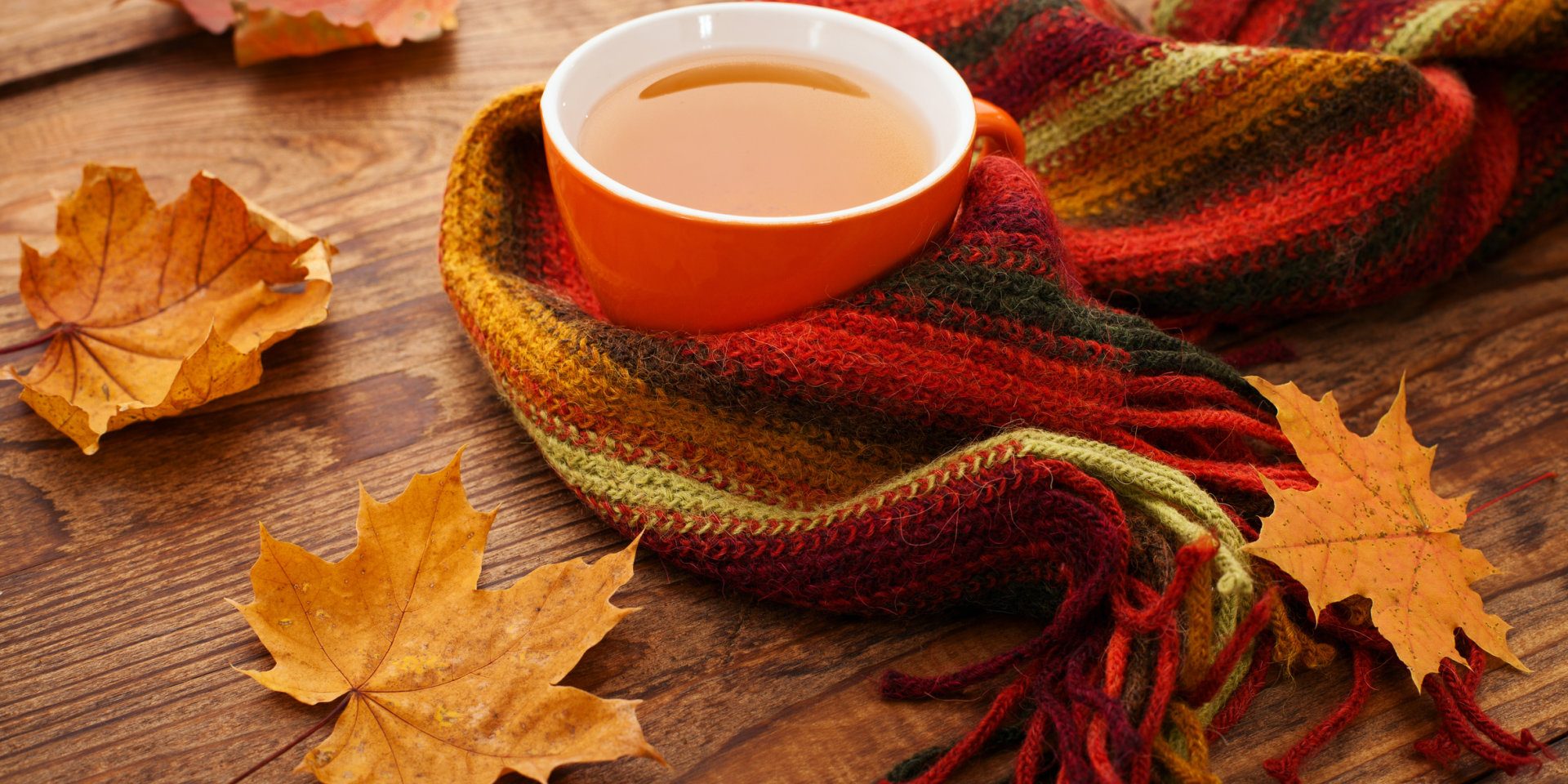 Autumn leaves, book and cup of tea on wooden table in studio