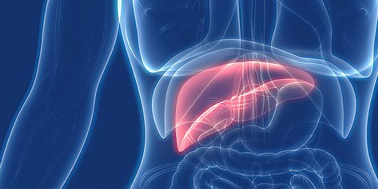 Hepatitis C Virus particles, illustration