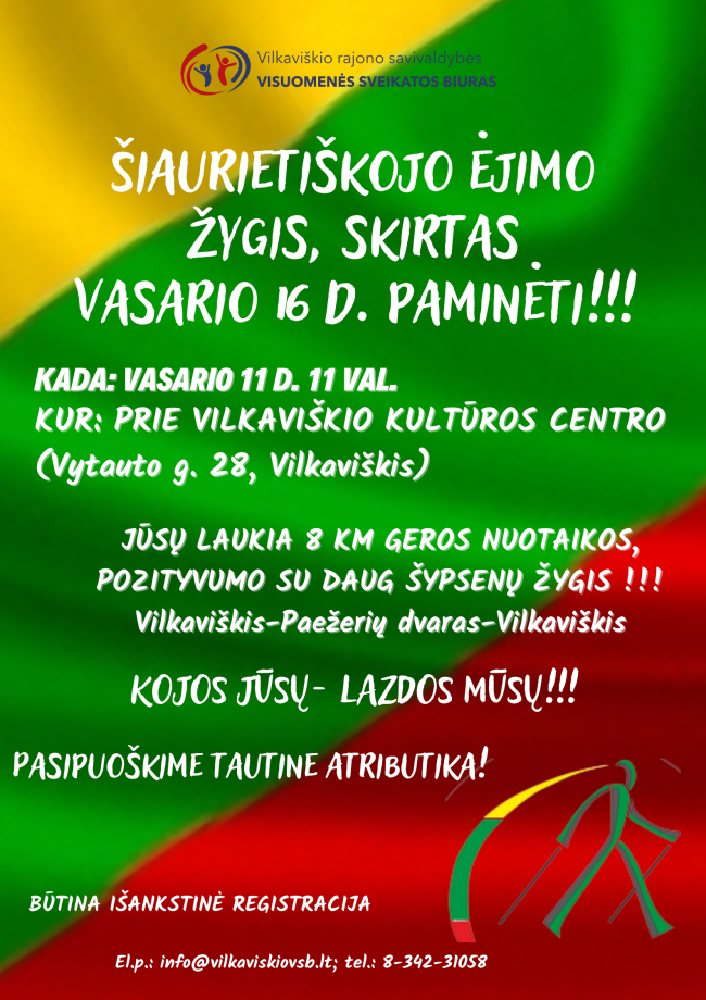 Žygis Vasarios 16 d.