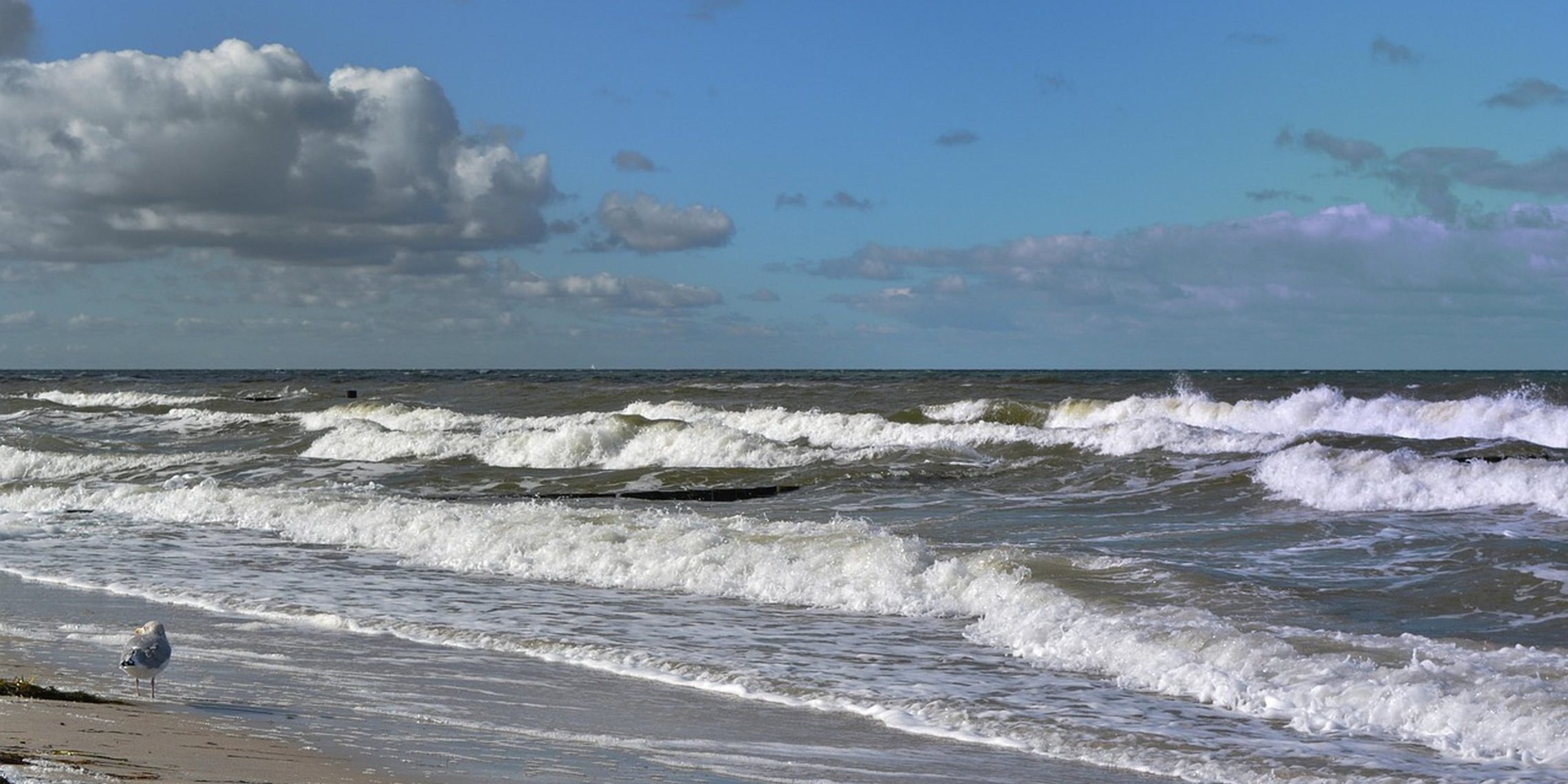 d9tXISSqI9I.jpg__2280x1520_q85_ALIAS-newshudge_crop-smart_subsampling-2_upscale