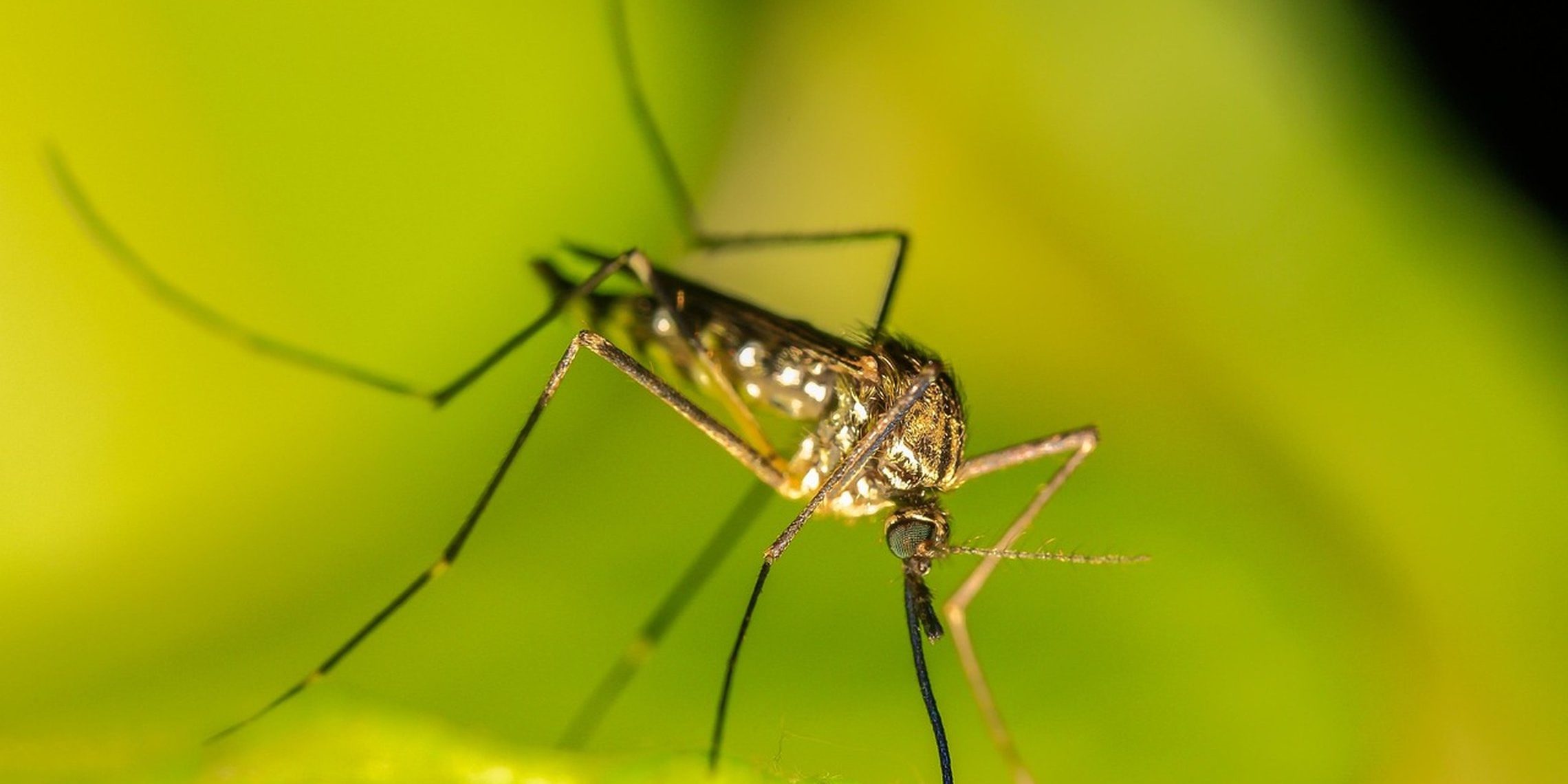 AwhxfdRGEZ4.jpg__2280x1520_q85_ALIAS-newshudge_crop-smart_subsampling-2_upscale