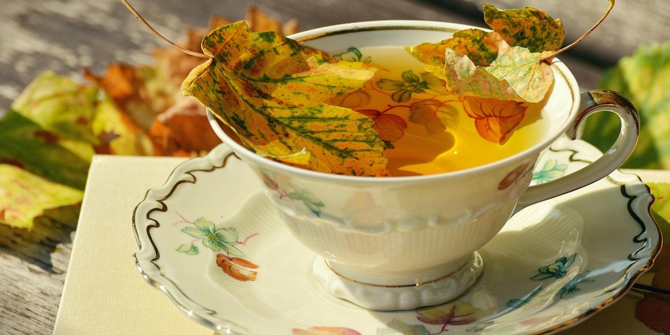 PE7xKpvDRl8.jpg__2280x1520_q85_ALIAS-newshudge_crop-smart_subsampling-2_upscale