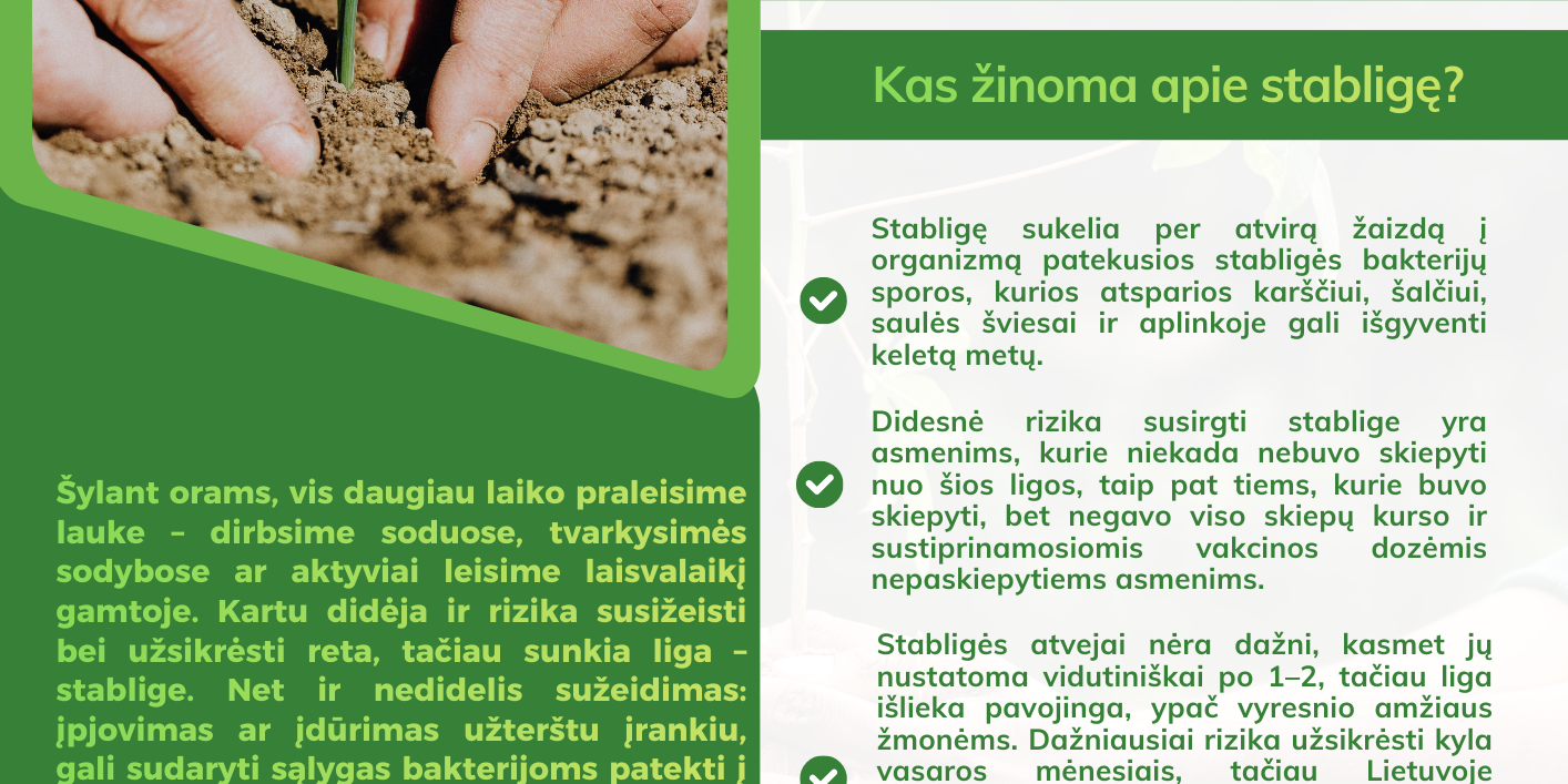 Stabligė
